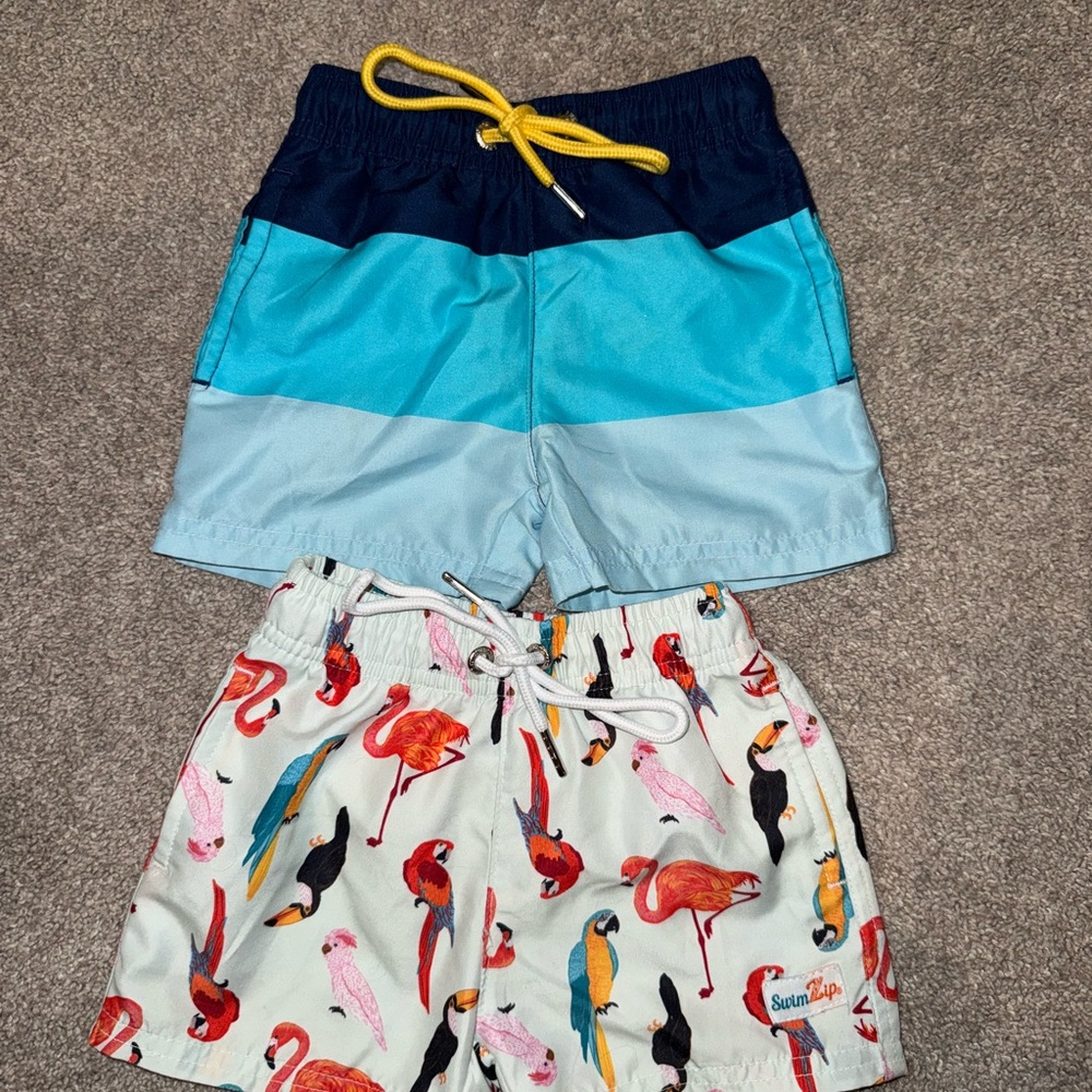 Kids Colorblock Blue Swim Trunks & Parrot Print Swim Shorts Set